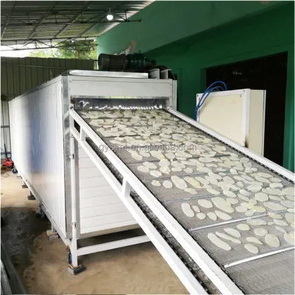 Automatic Piper Methysticum Kaka Drying Production Line