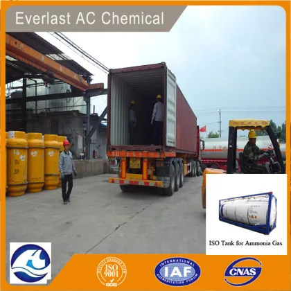 Everlast AC Chem Ammonia