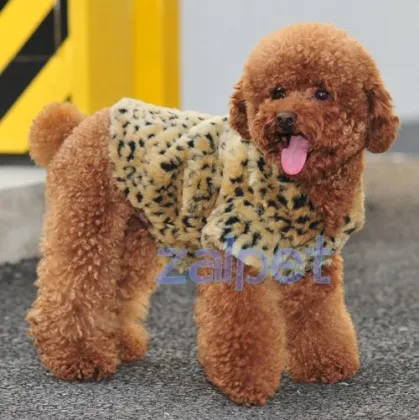 fashion brand pet clothes dog apparel
