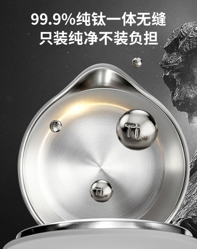 Pure Titanium Electric Kettle
