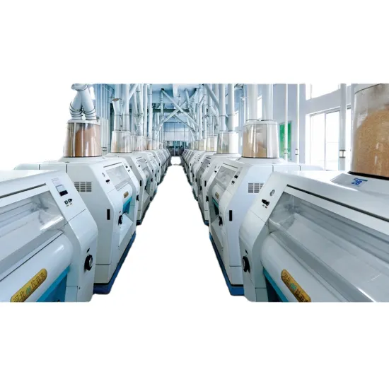 100T Wheat Flour Milling Machine: Industrial Flour Processing Equipment