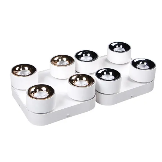 Rotatable High-Brightness 40W LED Downlight Ceiling Fixture with Cylinder Design and Adjustable Light Beam Direction