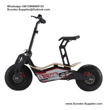 Italy Velocifero Scooter Belt Drive Electric Scooter