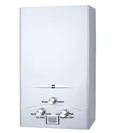 New coming Instant Gas Water Heater 6L Calentadores