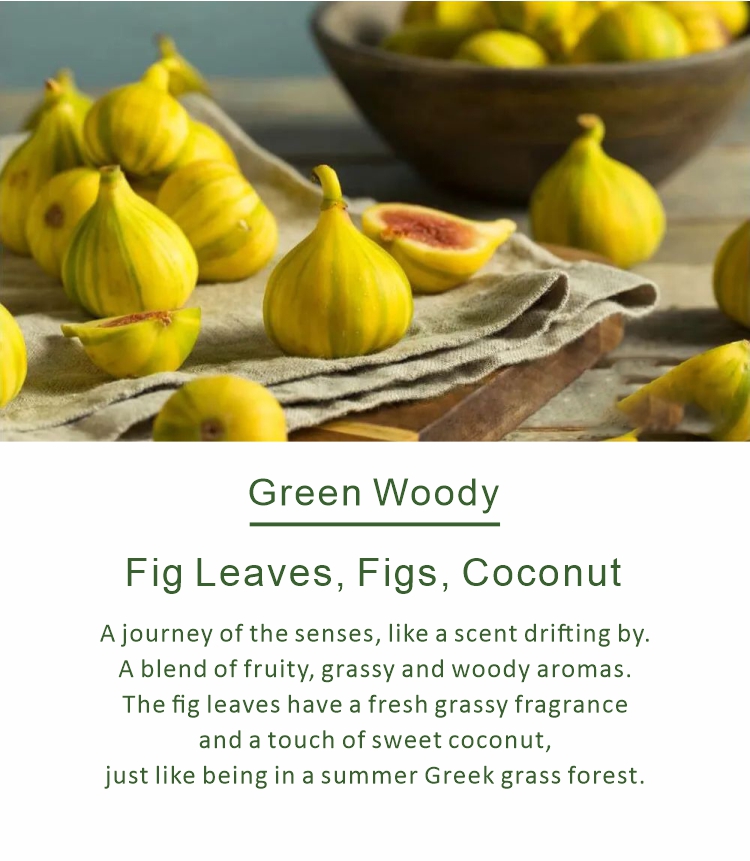 Aroma Diffuser Use Fragrance Oil