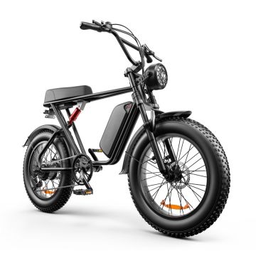 20 Inch Fat Tire Electric Bikes Motorcycle