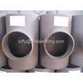 Carbon Steel Pipe Bend