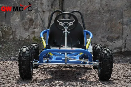 China cheap 163CC/196CC racing go kart for adults