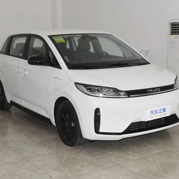 2023-2024 BYD D1MINI Electric Car - Νέο ενεργειακό όχημα με το Auto Gearbox
