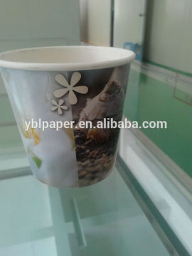 Standard Sizes Take Away Plant Paper Pot Cup