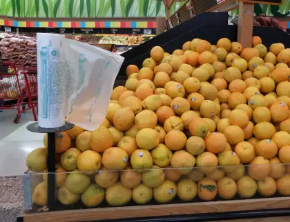 Plastic Fresh Keeping Bag