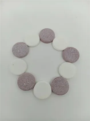 Probiotics Mints Probiotics for Men and Adults