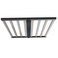 Grande valeur 800W 8bar Light pliable