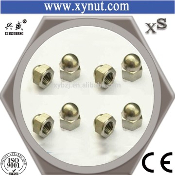 Hex Cap Nut China Manufacturer