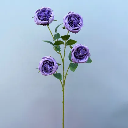 Hot Sale Wholesale Artificial Austin Roses for Wedding Decoration