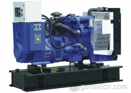 Perkins Diesel Generator Set