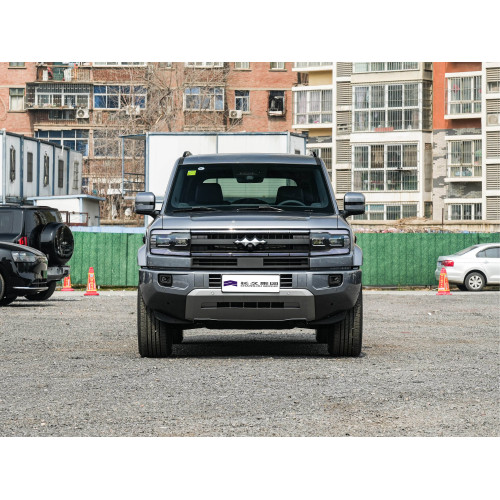 BYD CAR LEOPARD5 SIDESIZE 4WD позашляховика позашляховика