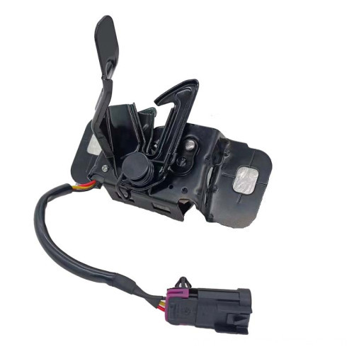 Factory Wholesaler: 2015-2017 Cruze Car Hood Lock Latch 13461124