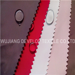 360t Polyester Fabric with Coated Fabric for Jacket Fabric (DT3011)