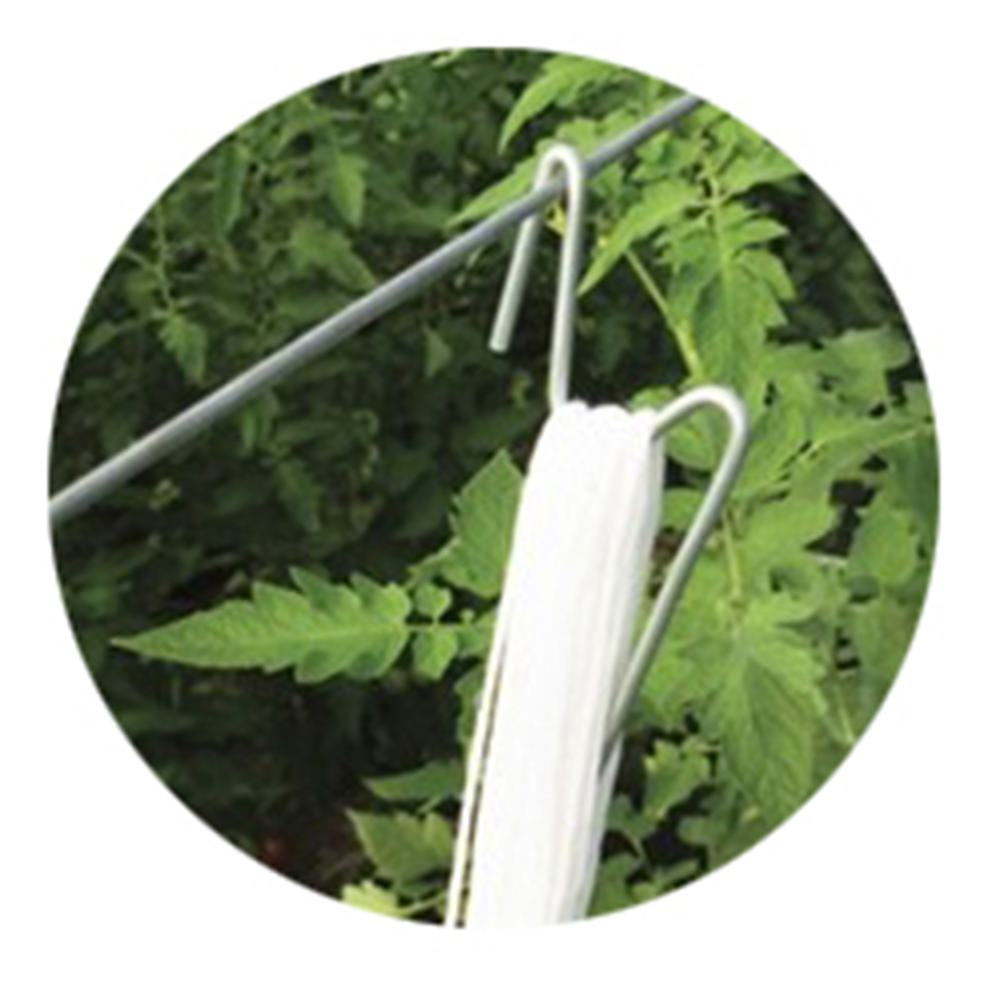 Greenhouse Plant Hooks Supports With Twines