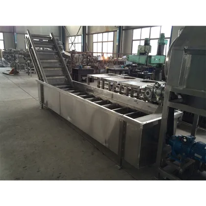 Automatic Mulberry and Soft Fruits Drench Washing Machine