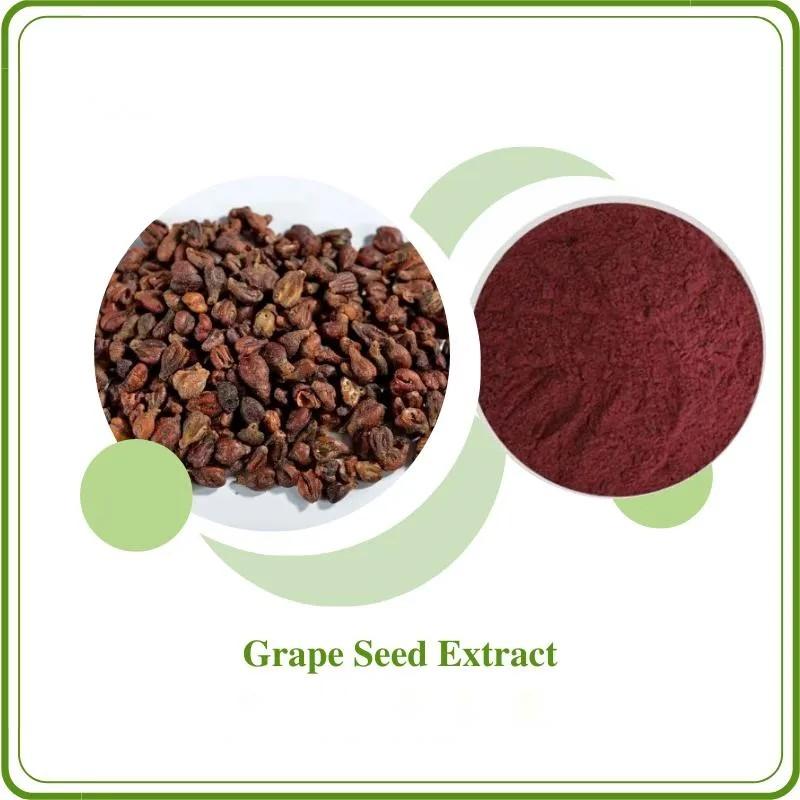 Grape Seed Extract OPC Oligomeric Proantho Cyanidins Powder