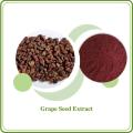 Grape Seed Extract OPC Oligomeric Proantho Cyanidins Powder