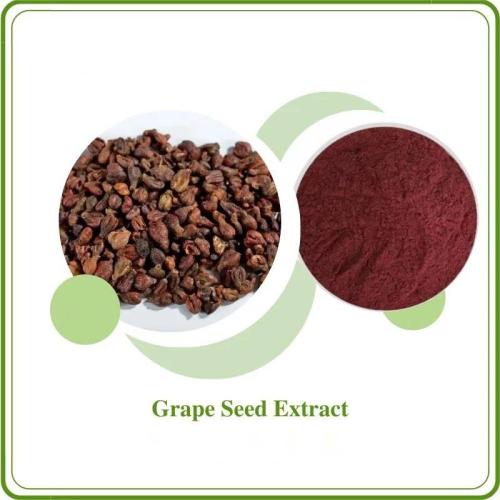 Grape Seed Extract OPC Oligomeric Proantho Cyanidins Powder