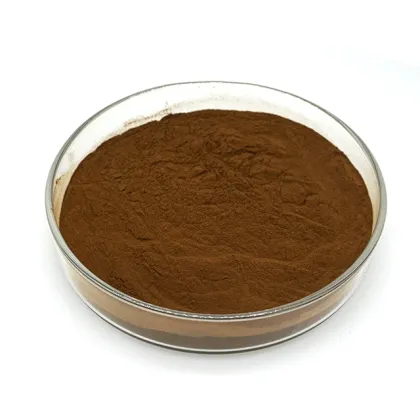Wholesale Jujube Extract Powder