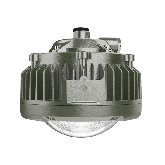 High Efficiency Energy-Saving IP66 China Explosion Proof Light (50w-90w)