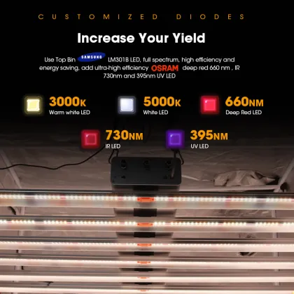 Indoor 1000W Hydro Vertical Plant LED Grow Lamp