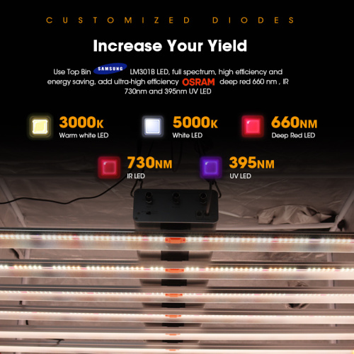 Indoor 1000W Hydro Vertical Plant LED Grow Lamp