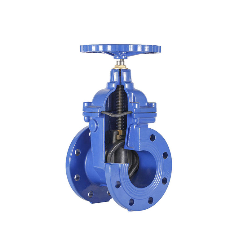 Cast steel gate valve