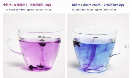 Natural Anthocyanin Wild Organic Black Wolfberry