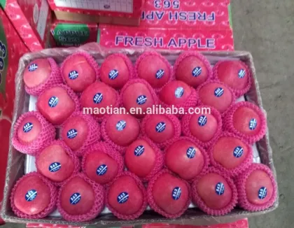 superior brand fruit fresh blush red fuji apple
superior brand fruit fresh blush red fuji apple