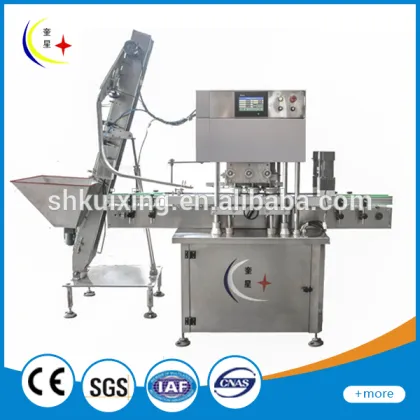 YXT-CG Full-auto SL capping machine