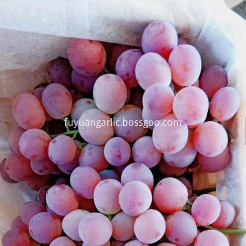 sweet grapes 