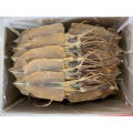 /msite/products/detail/productid/63195387/id/1343744.html