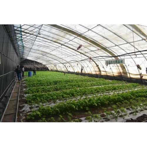 Industry Green House Greenhouse And Nursery Products Factory