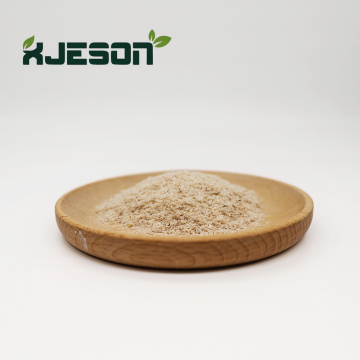 Psyllium husk powder for Weight loss extract
