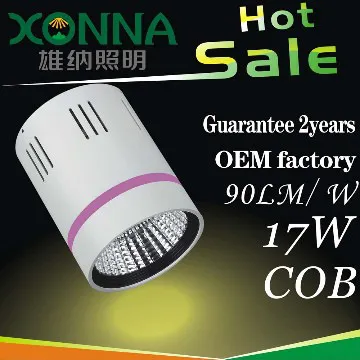 multicolored cob downlight led