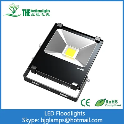 20Watt LED  Floodlights with Philips Lumileds SMD3030
