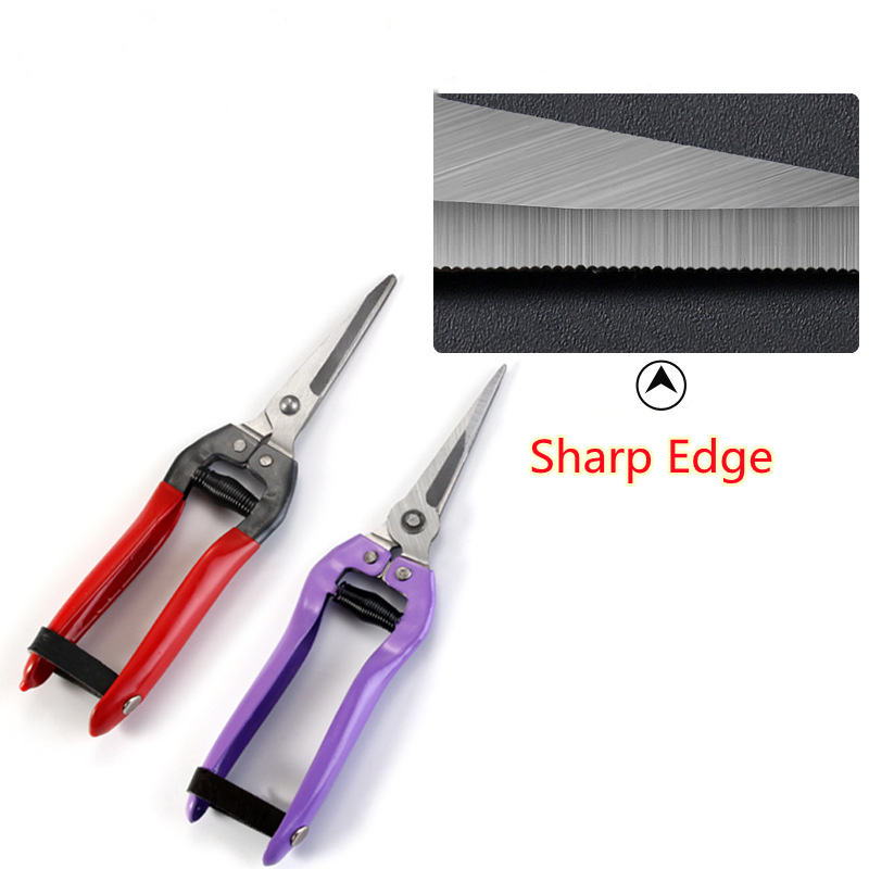 Professional fruit picking scissors grape harvesting grafting scissors garden manual pruning shears
