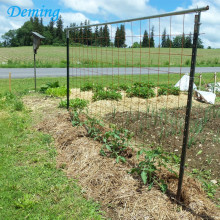 T Type Green Painted Metal Fence Post