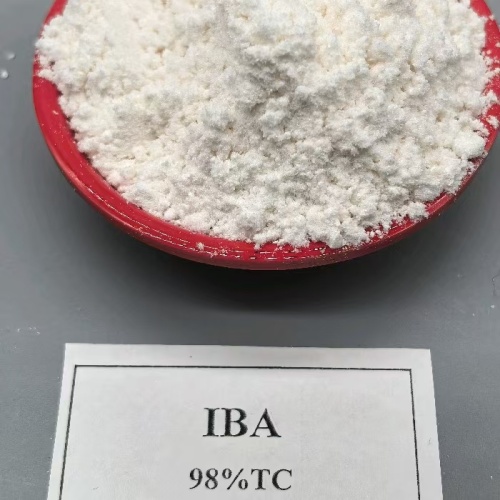 إندول 3 حمض البيوتريك (IBA) 98%TC