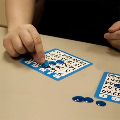 Professional Custom Bingo Cards for Family Game Night