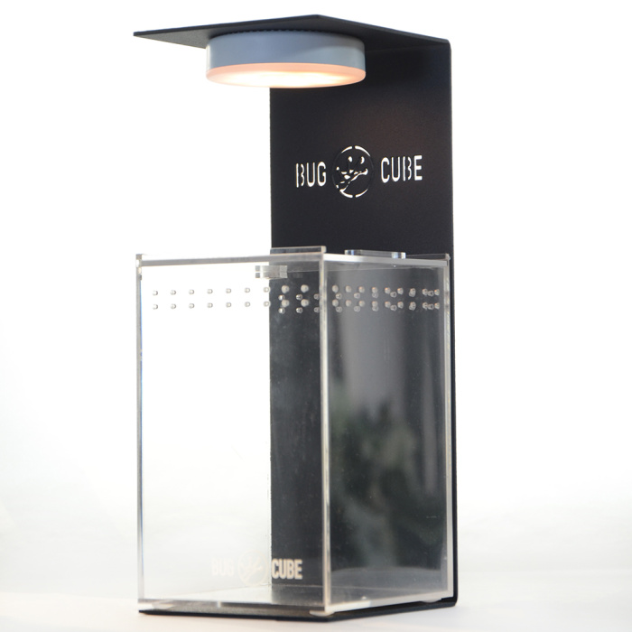 Caixa de criação de acrílico de alta transmitância