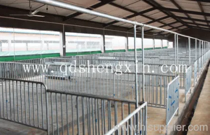 Pig Stall,large Pig,pig Equipment 