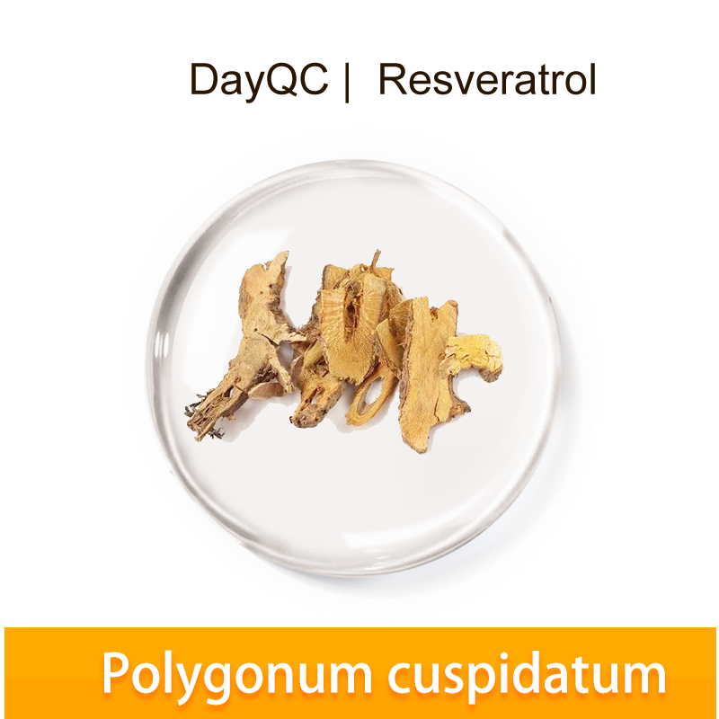 resveratrol Extract powder