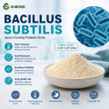 Bacillus subtilis مسحوق بروبيوتيك للزراعة والأعلاف وتربية الأحياء المائية